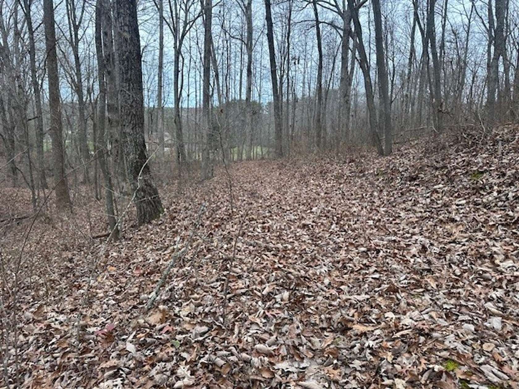 121 Acres of Recreational Land for Sale in Tracy City, Tennessee