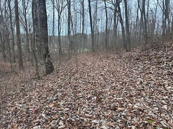 121 Acres of Recreational Land for Sale in Tracy City, Tennessee