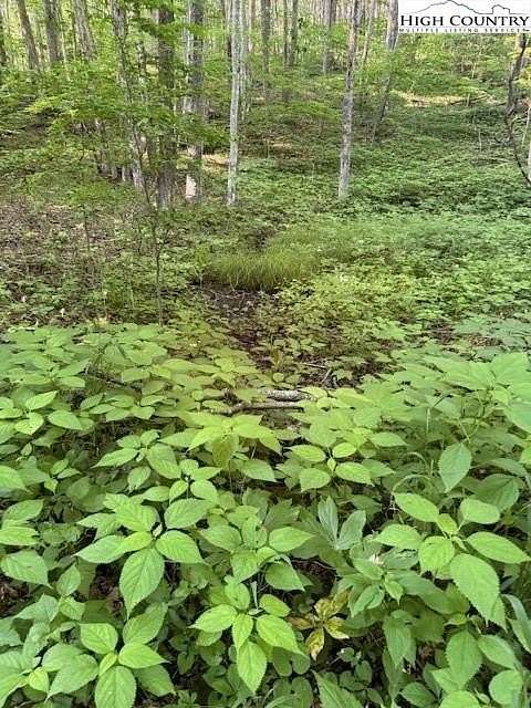 0.11 Acres of Residential Land for Sale in Creston, North Carolina