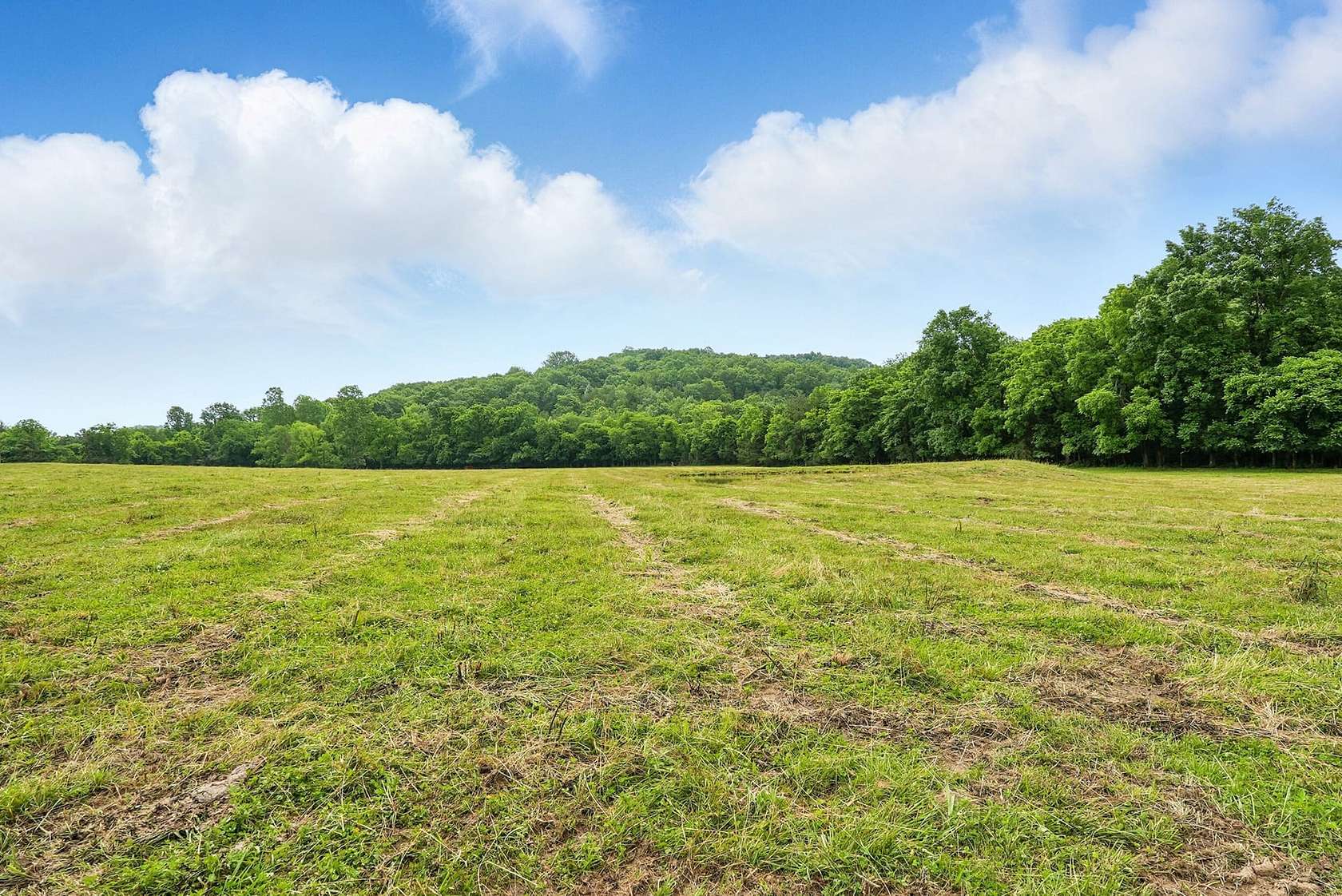 Cornersville Farm Fields