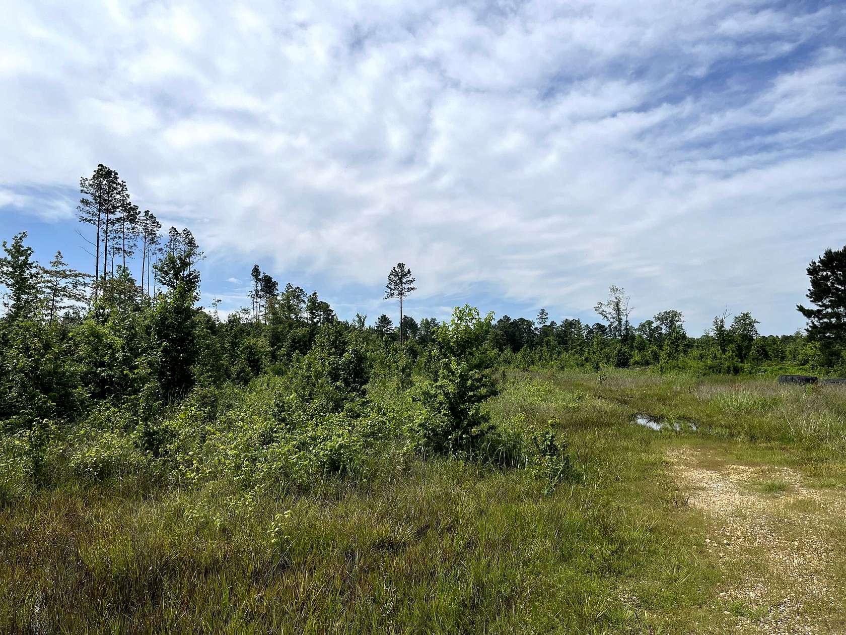 160 Acres of Recreational Land & Farm for Sale in Malvern, Arkansas