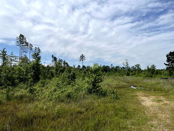 160 Acres of Recreational Land & Farm for Sale in Malvern, Arkansas