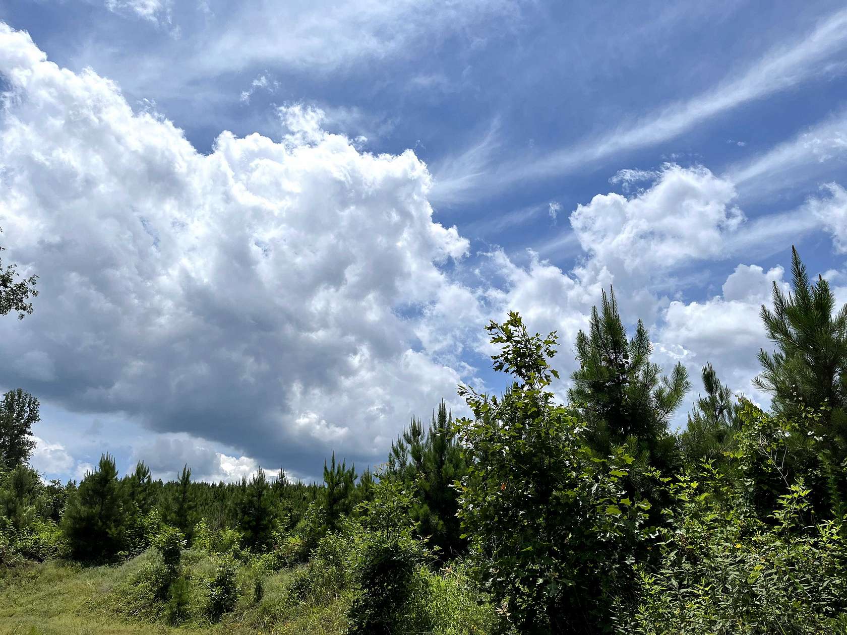 40 Acres of Recreational Land & Farm for Sale in Malvern, Arkansas