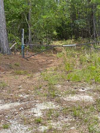 31.6 Acres of Land for Sale in Winnsboro, South Carolina