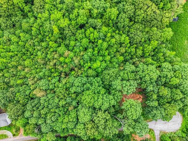 0.99 Acres of Residential Land for Sale in Rutherfordton, North Carolina