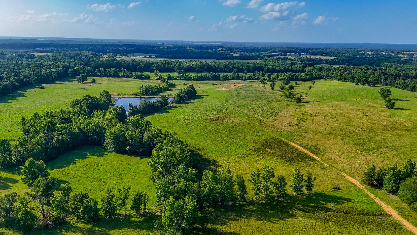 200 Acres of Agricultural Land for Sale in Pittsburg, Texas