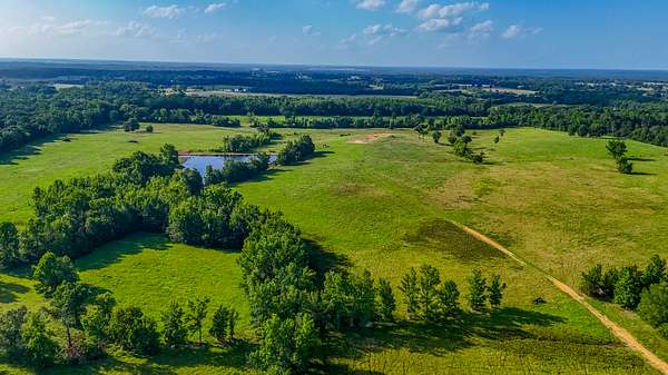 200 Acres of Agricultural Land for Sale in Pittsburg, Texas