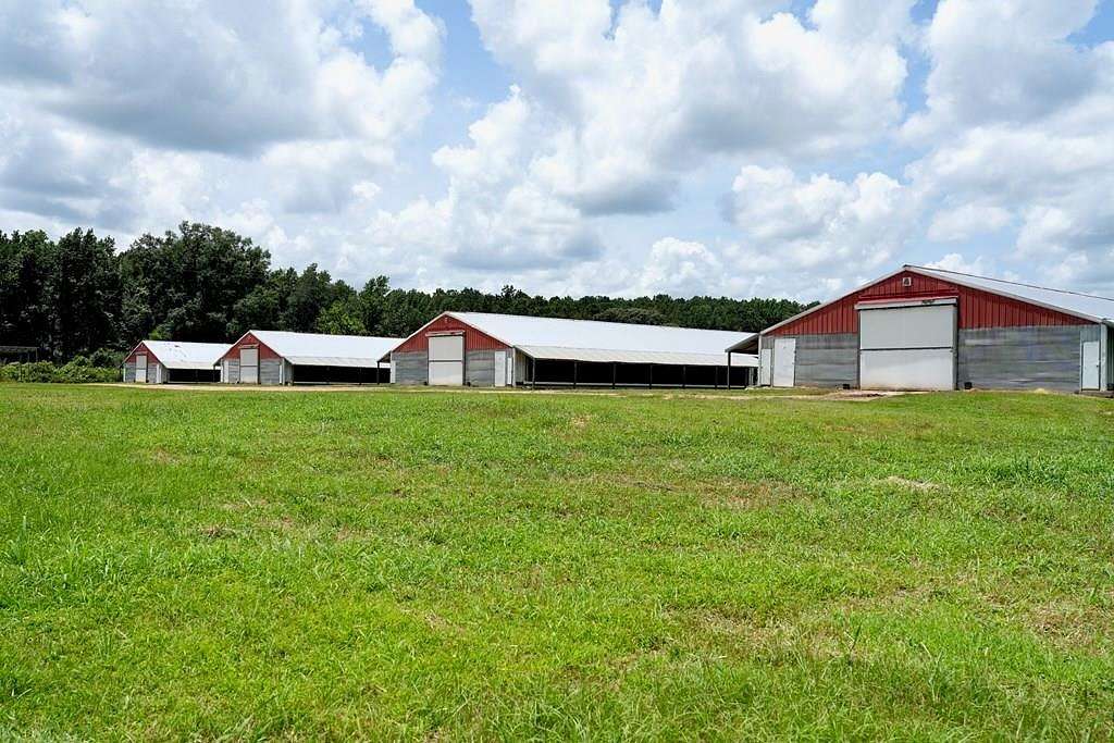40 Acres of Agricultural Land with Home for Sale in Smithdale, Mississippi