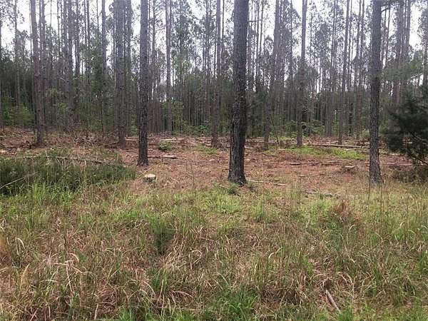 2.43 Acres of Residential Land for Sale in Iva, South Carolina