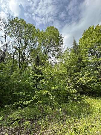 23.9 Acres of Recreational Land for Sale in Trout Creek, Michigan
