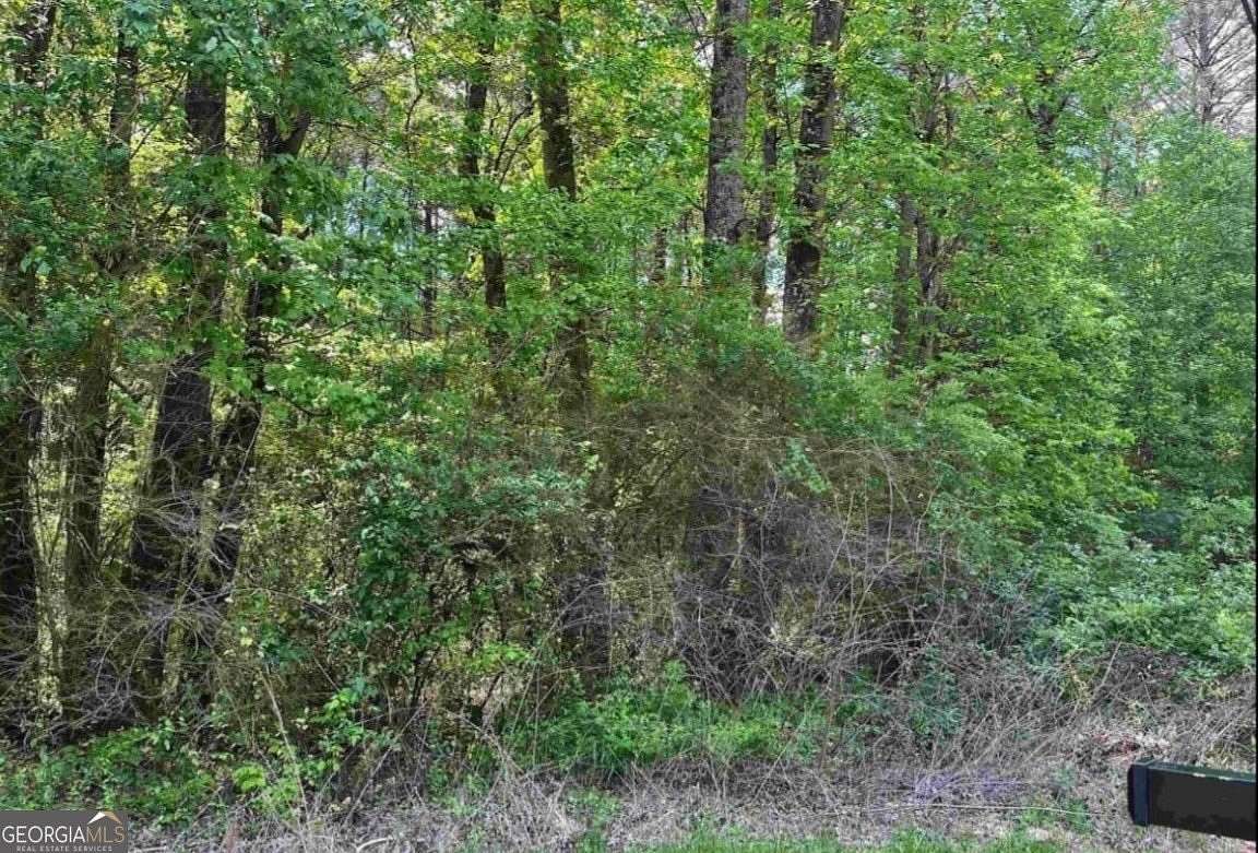 9.74 Acres of Residential Land for Sale in Snellville, Georgia