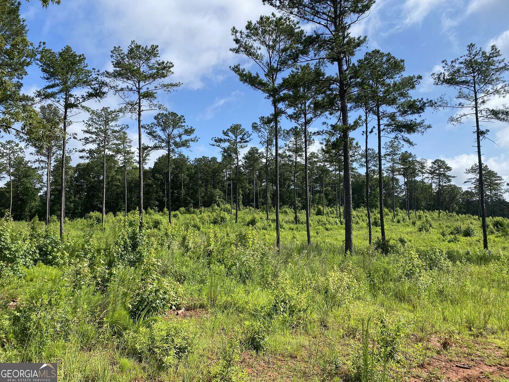 10.1 Acres of Land for Sale in Forsyth, Georgia