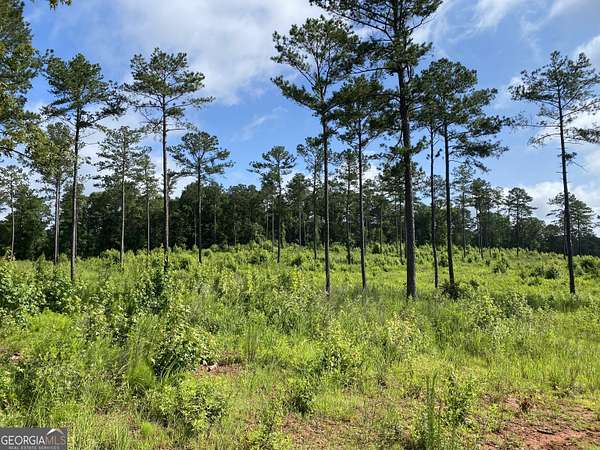 10.1 Acres of Land for Sale in Forsyth, Georgia