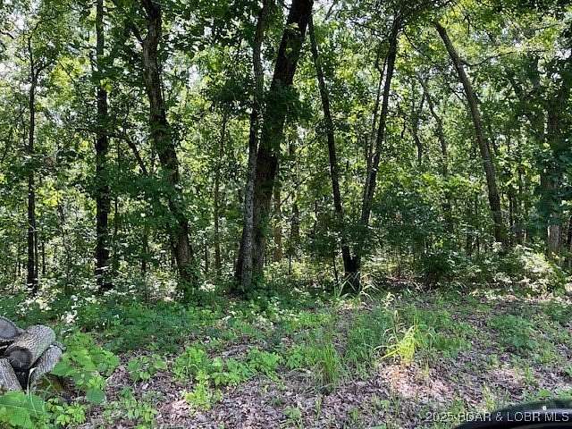 10 Acres of Residential Land for Sale in Brumley, Missouri