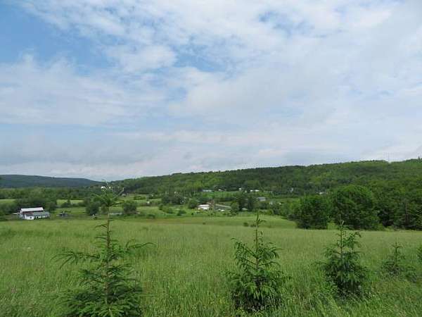 20 Acres of Agricultural Land for Sale in Newport, New York