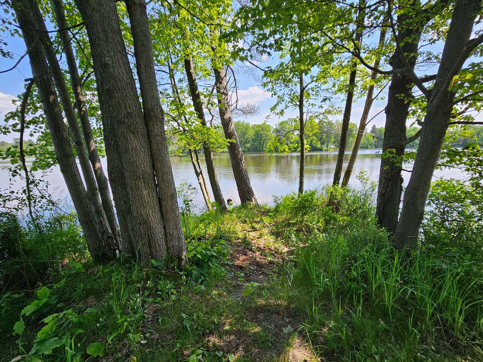 6.35 Acres of Land for Sale in Sparta, Wisconsin