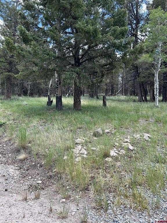 4 Acres of Land for Sale in Powderhorn, Colorado