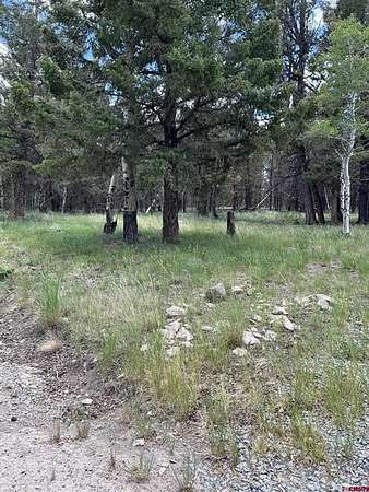 4 Acres of Land for Sale in Powderhorn, Colorado