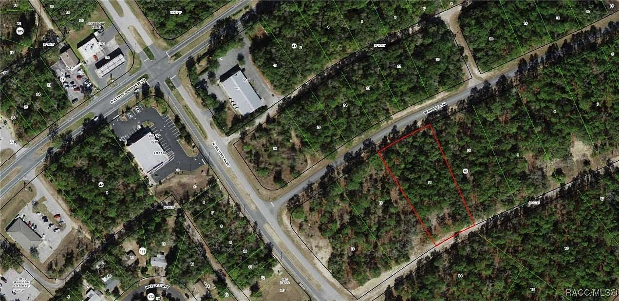 1.3 Acres of Land for Sale in Citrus Springs, Florida
