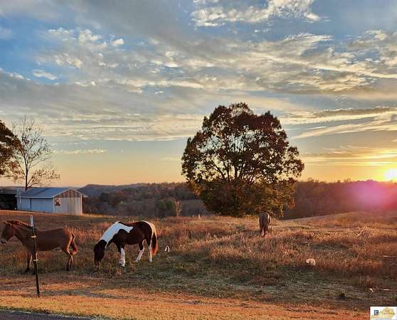 2 Acres of Residential Land for Sale in Columbia, Kentucky