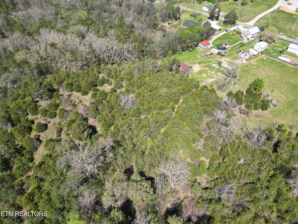 25.2 Acres of Agricultural Land for Sale in Strawberry Plains, Tennessee