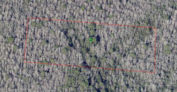 5 Acres of Land for Sale in De Leon Springs, Florida