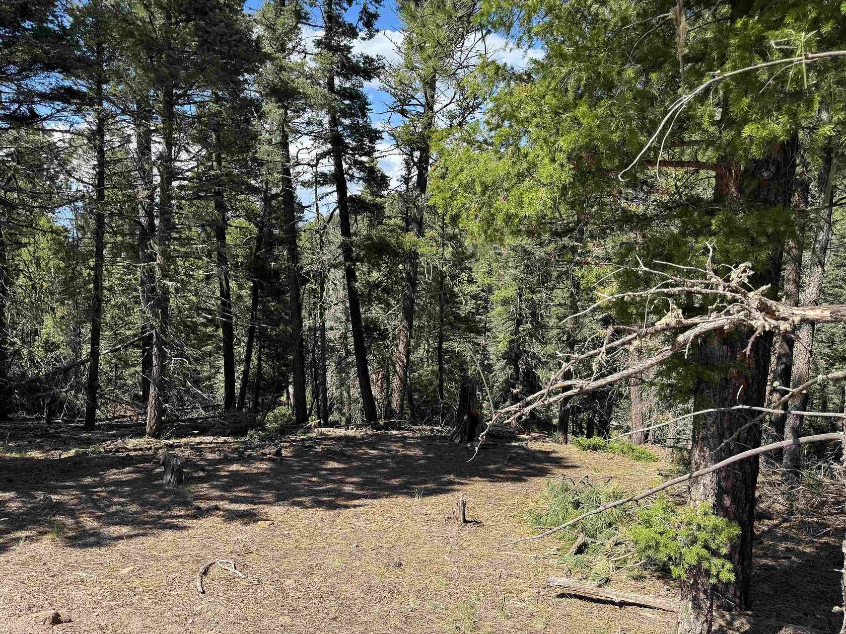 0.94 Acres of Land for Sale in Angel Fire, New Mexico
