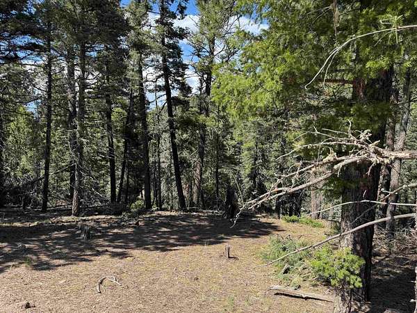 0.94 Acres of Land for Sale in Angel Fire, New Mexico