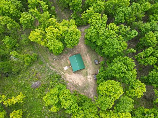 52 Acres of Improved Recreational Land for Sale in Arnold, Michigan