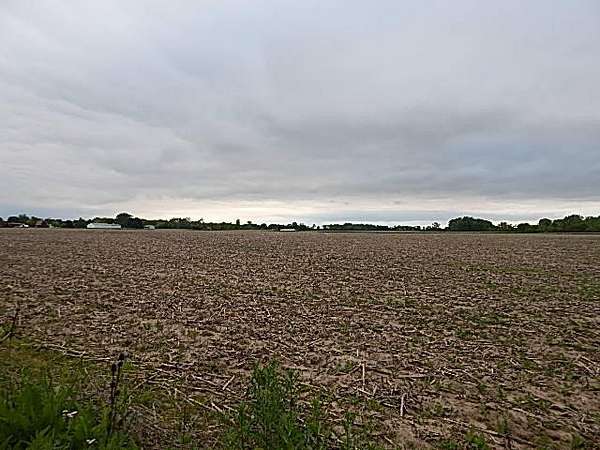 97.6 Acres of Agricultural Land for Sale in Whiteford Township, Michigan