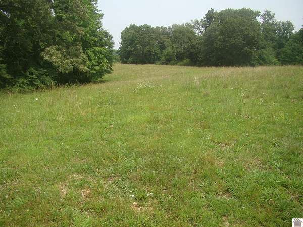 57.6 Acres of Agricultural Land for Sale in Cadiz, Kentucky