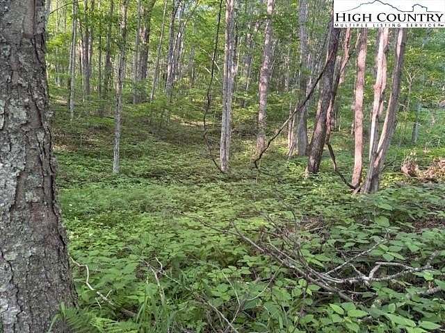 0.14 Acres of Residential Land for Sale in Creston, North Carolina