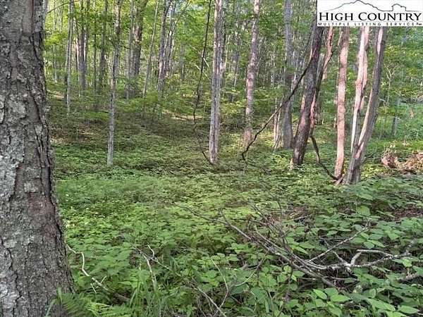 0.14 Acres of Residential Land for Sale in Creston, North Carolina