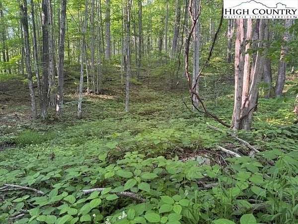 0.1 Acres of Residential Land for Sale in Creston, North Carolina