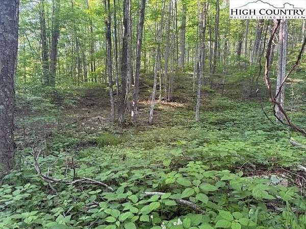 0.1 Acres of Residential Land for Sale in Creston, North Carolina