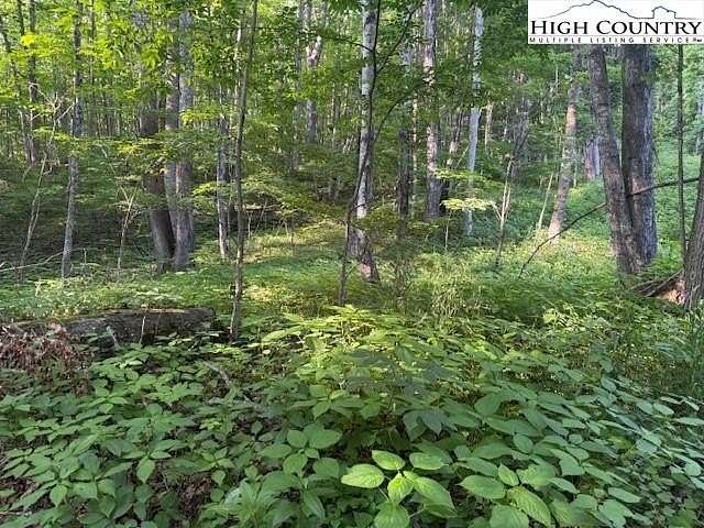 0.24 Acres of Residential Land for Sale in Creston, North Carolina