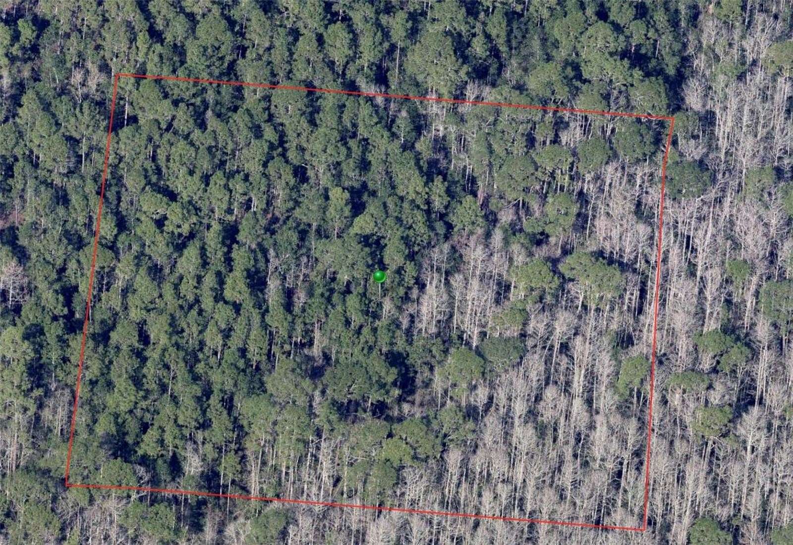 2.5 Acres of Land for Sale in De Leon Springs, Florida