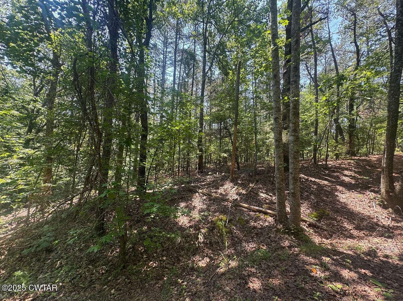 Land for Sale in Middleton, Tennessee