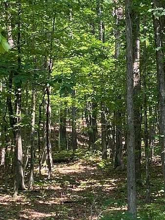 5.1 Acres of Residential Land for Sale in Graysville, Tennessee