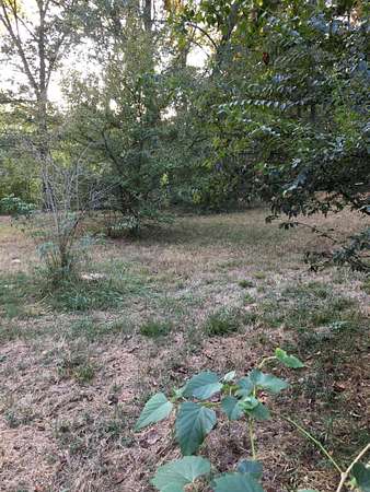 0.48 Acres of Residential Land for Sale in Jacksonville, Arkansas