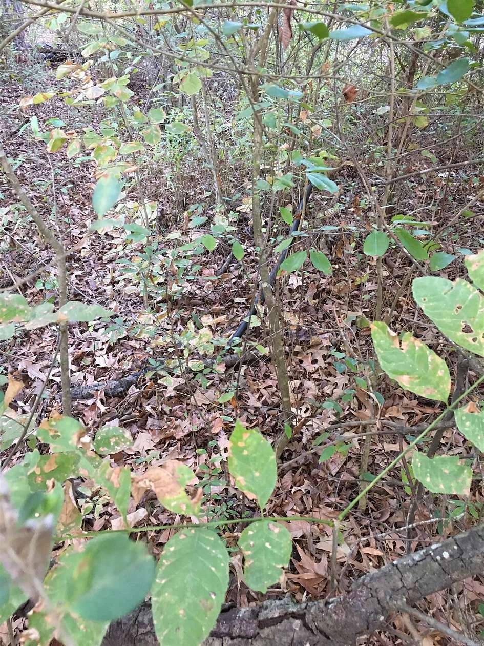 0.46 Acres of Residential Land for Sale in Jacksonville, Arkansas