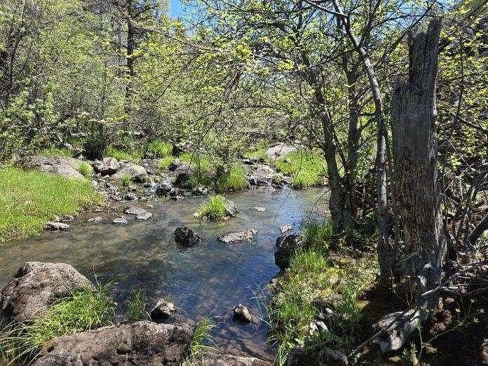 439 Acres of Recreational Land & Farm for Sale in McArthur, California