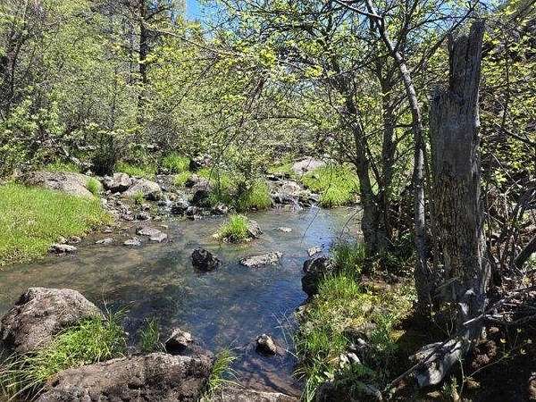 439 Acres of Land for Sale in McArthur, California