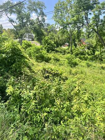 0.34 Acres of Residential Land for Sale in Ona, West Virginia