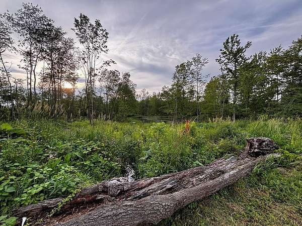 5 Acres of Residential Land for Sale in Hooversville, Pennsylvania