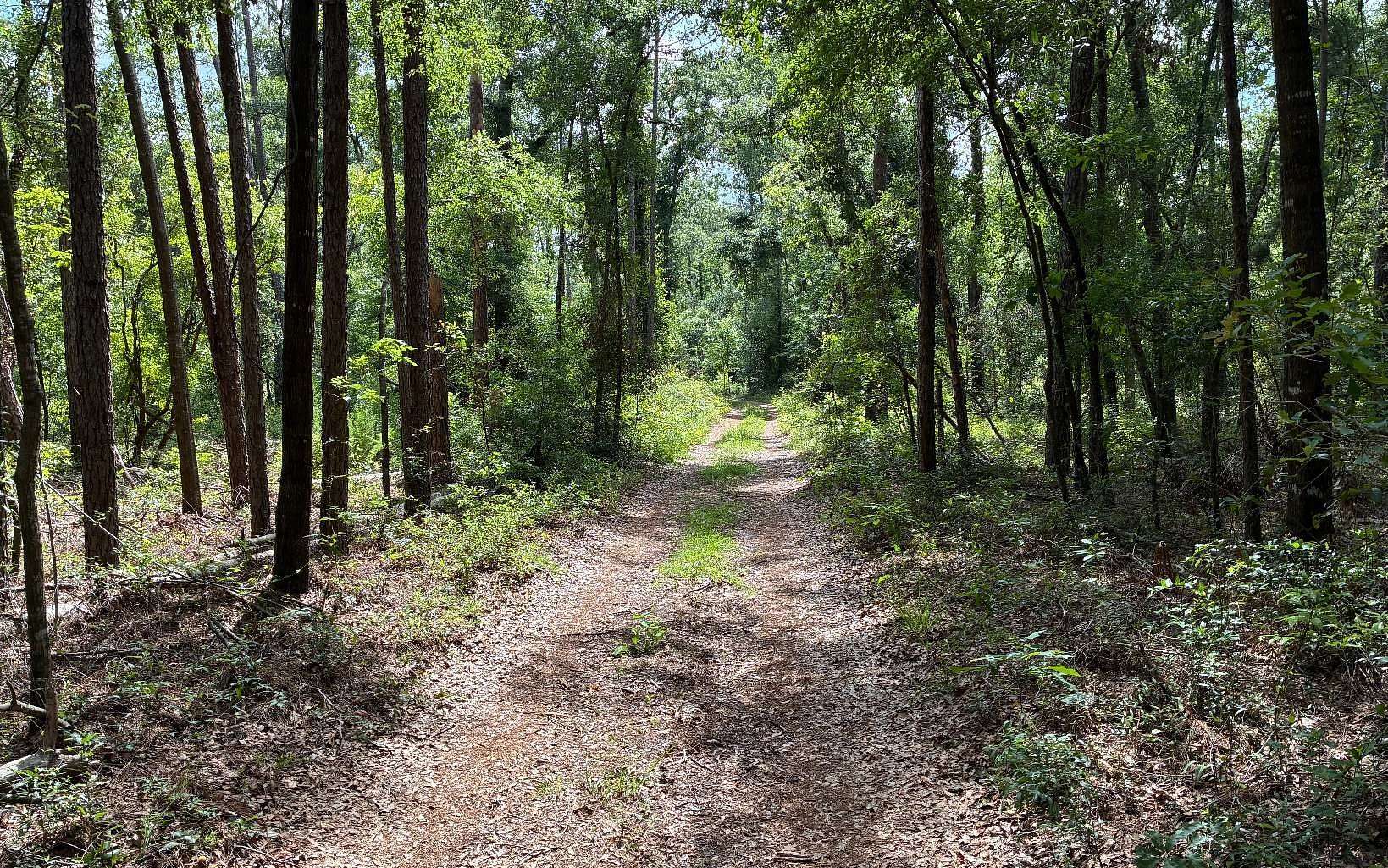 1.26 Acres of Residential Land for Sale in Live Oak, Florida