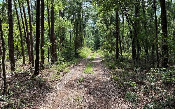 1.26 Acres of Residential Land for Sale in Live Oak, Florida