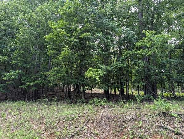 5 Acres of Land for Sale in Hardy, Virginia