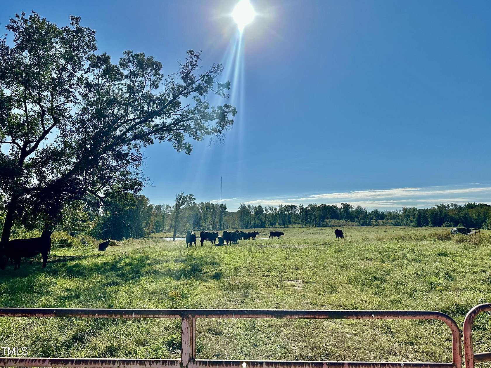 4 Acres of Residential Land for Sale in Hurdle Mills, North Carolina