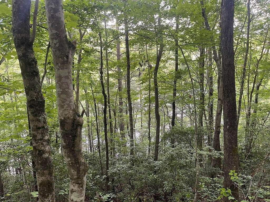 11.8 Acres of Land for Sale in Tuckasegee, North Carolina